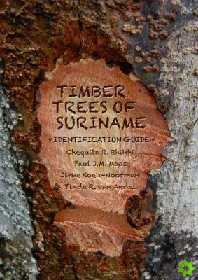 Timber Trees of Suriname