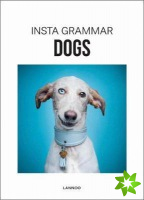 Insta Grammar Dogs
