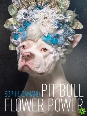 Pit Bull Flower Power