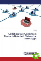 Collaborative Caching in Content-Oriented Networks: New Steps