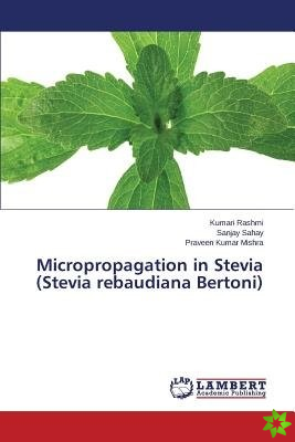 Micropropagation in Stevia (Stevia rebaudiana Bertoni)