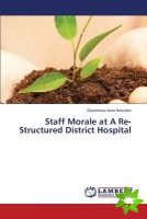 Staff Morale at A Re-Structured District Hospital