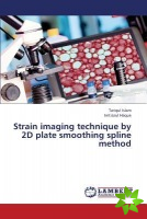 Strain imaging technique by 2D plate smoothing spline method