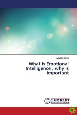 What Is Emotional Intelligence, Why Is Important