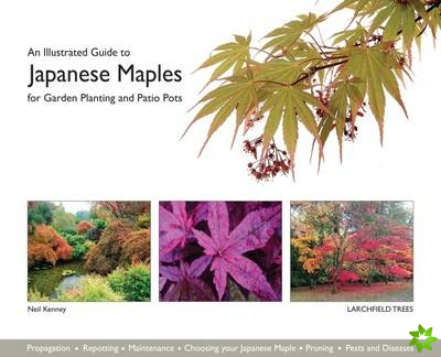 Illustrated Guide to Japanese Maples for Garden Planting and Patio Pots