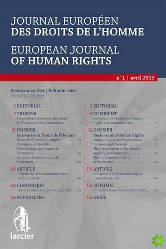 Journal Europeen Des Droits De L'homme / European Journal of Human Rights 2013/1