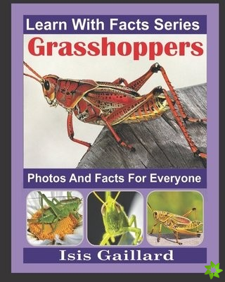 Grasshoppers Photos and Facts for Everyone