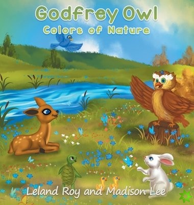 Godfrey Owl