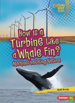 How Is a Turbine Like a Whale Fin?