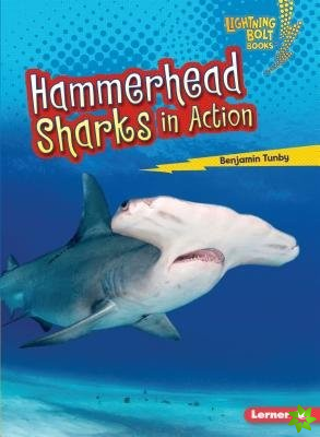 Hammerhead Sharks in Action