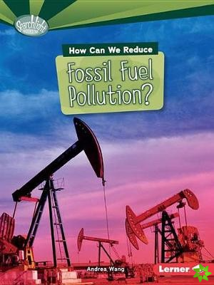 How Can We Reduce Fossil Fuel Pollution