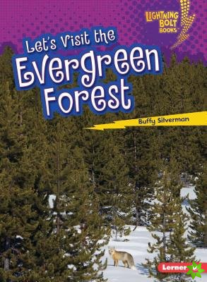 Lets Visit the Evergreen Forest
