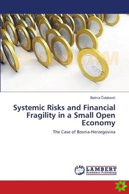 SYSTEMIC RISKS AND FINANCIAL FRAGILITY I