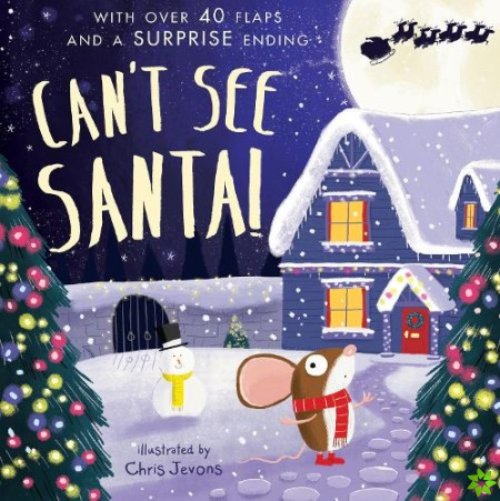 Can't See Santa!