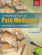 Fundamentals of Pain Medicine