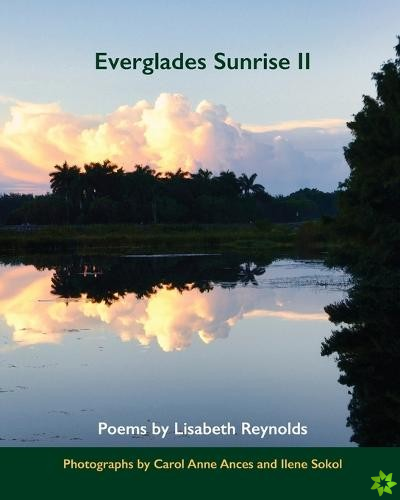 Everglades Sunrise II