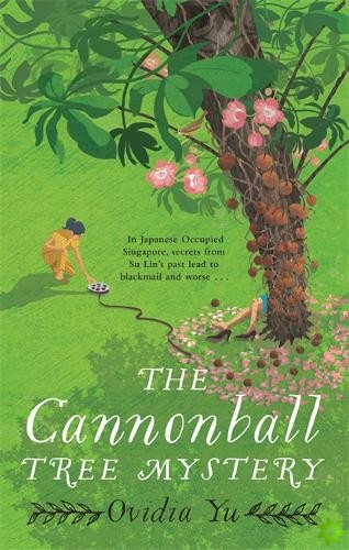 Cannonball Tree Mystery