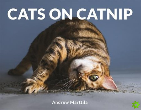 Cats on Catnip