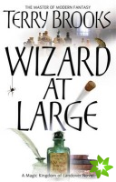 Wizard At Large