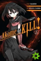 Akame ga KILL!, Vol. 5