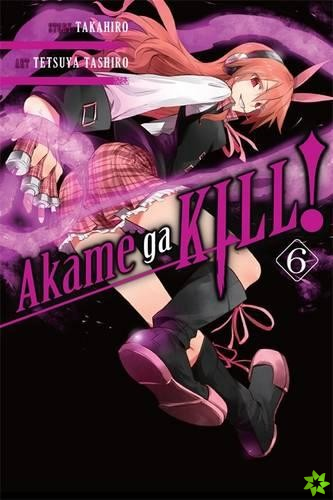 Akame ga KILL!, Vol. 6