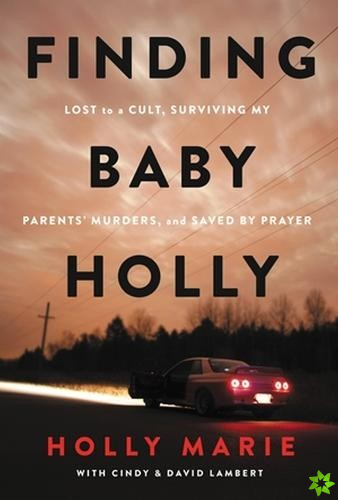 Finding Baby Holly