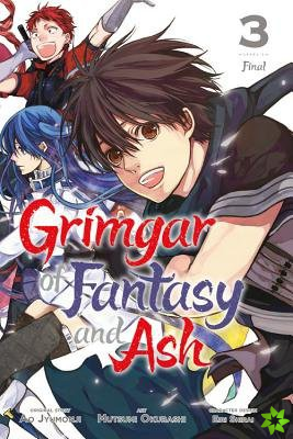 Grimgar of Fantasy and Ash, Vol. 3 (manga)