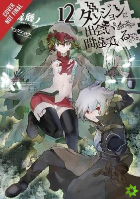 Is It Wrong to Try to Pick Up Girls in a Dungeon?, Vol. 12 (light novel)