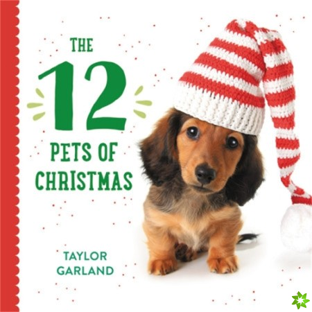 Twelve Pets of Christmas