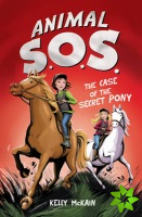 Case of the Secret Pony