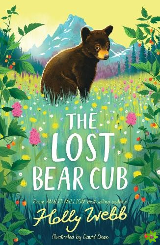 Lost Bear Cub