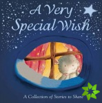Very Special Wish