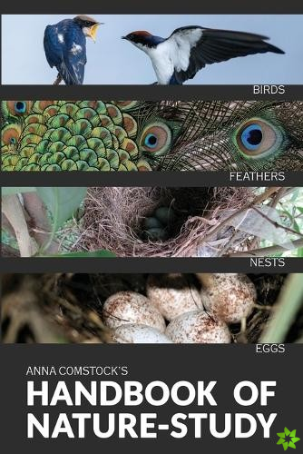 Handbook Of Nature Study in Color - Birds