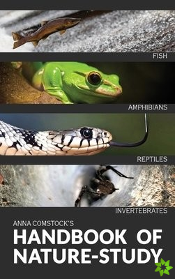 Handbook Of Nature Study in Color - Fish, Reptiles, Amphibians, Invertebrates