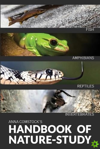 Handbook Of Nature Study in Color - Fish, Reptiles, Amphibians, Invertebrates