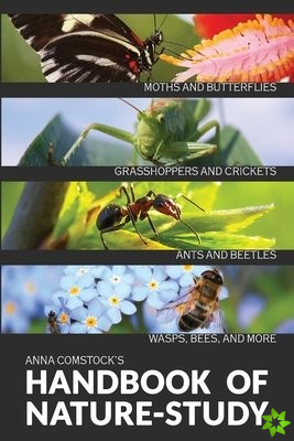 Handbook Of Nature Study in Color - Insects