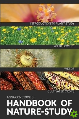 Handbook Of Nature Study in Color - Wildflowers, Weeds & Cultivated Crops