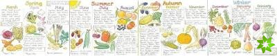 Seasonal Fruit and Vegetables Wallchart