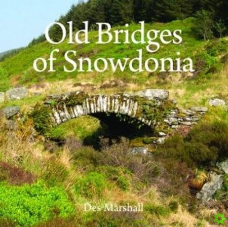Old Bridges of Snowdonia