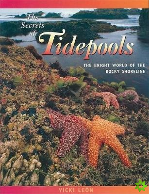 Secrets of Tidepools