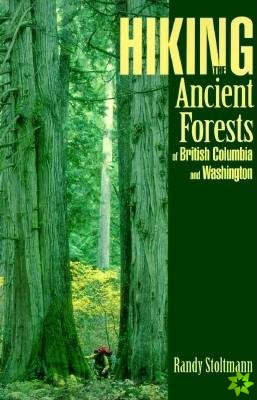 Hiking the Ancient Forests of British Columbia and Washington