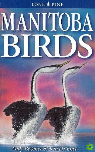 Manitoba Birds