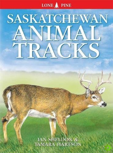 Saskatchewan Animal Tracks