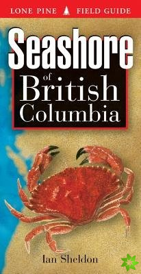 Seashore of British Columbia