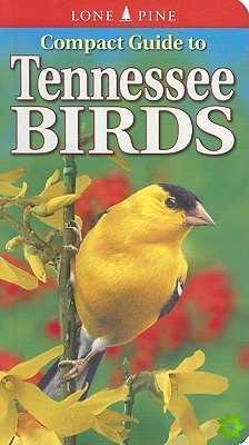 Compact Guide to Tennessee Birds