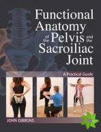 Functional Anatomy of the Pelvis and the Sacroiliac Joint
