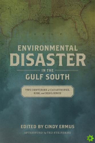 Environmental Disaster in the Gulf South