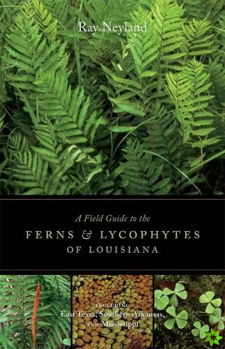 Field Guide to the Ferns and Lycophytes of Louisiana