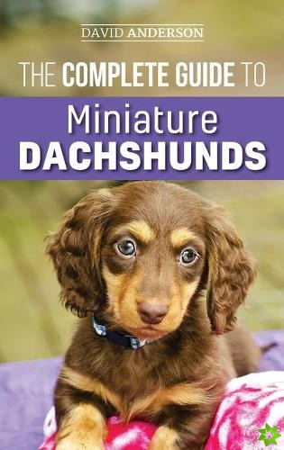 Complete Guide to Miniature Dachshunds
