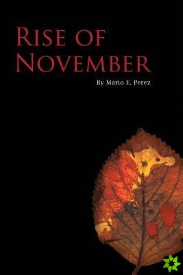 Rise of November